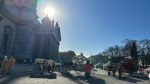 Лошадь с каретой попала в «культурную аварию с Достоевским» в Петербурге