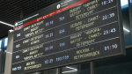 «Аврора-Шаттл» сократит дорогу от Петербурга до Выборга до часа