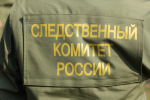 В Петербурге четверым подросткам, которые жестоко избили мужчину по указанию в мессенджере, предъявили обвинение
