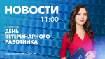 Новости Петербурга к 11:00 - tvspb.ru