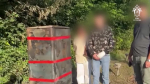 В Рязанской области несовершеннолетний обвиняется в совершении теракта на железной дороге. Видео