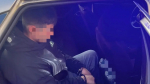 В Петербурге «художник» с судимостью разукрашивал из баллончика стены и окна на глазах росгвардейцев