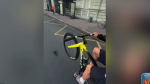В Петербурге нашли велосипедиста, отрицавшего ПДД в соцсетях