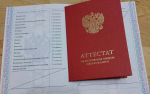 Стремится к знаниям, а не к оценкам: незрячая 200-балльница ЕГЭ Дарья Василенко выбрала филологию