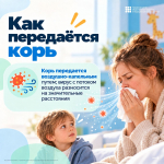 Корь