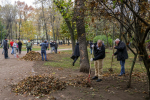 В общегородском субботнике приняли участие более 53 тысяч петербуржцев