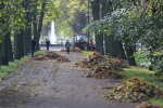 Рекордный по масштабу субботник прошел в Московском парке в Петербурге