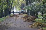 Рекордный по масштабу субботник прошел в Московском парке в Петербурге