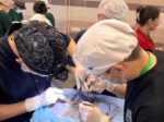 Курсанты Академии приняли участие во Всероссийской студенческой Олимпиаде «Medical quest» в Казани